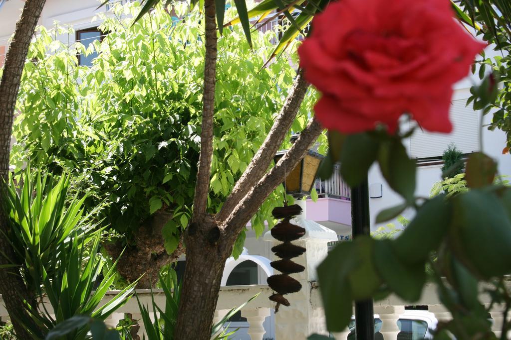 פראליה דיוניסיו Dionisos Palms Apartments חדר תמונה